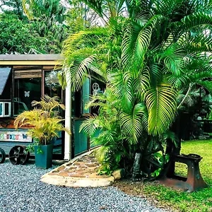 3* Guest house Butterfly